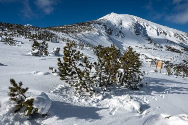 Bulgaristan 'ın Bezbog Tepesi yakınlarındaki Pirin Dağı' nın şaşırtıcı kış manzarası