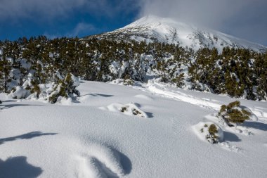 Bulgaristan 'ın Bezbog Tepesi yakınlarındaki Pirin Dağı' nın şaşırtıcı kış manzarası