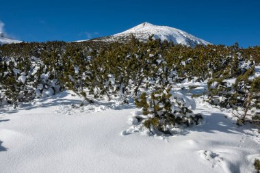 Bulgaristan 'ın Bezbog Tepesi yakınlarındaki Pirin Dağı' nın şaşırtıcı kış manzarası