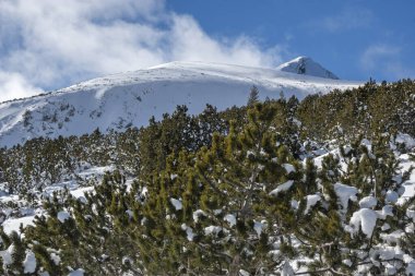 Bulgaristan 'ın Bezbog Tepesi yakınlarındaki Pirin Dağı' nın şaşırtıcı kış manzarası