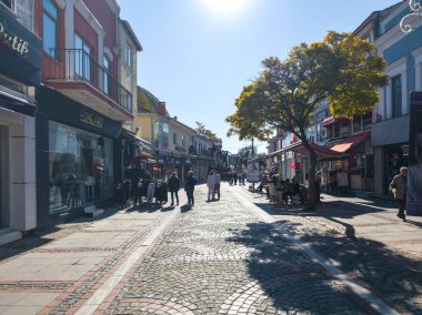 EDIRNE, TURKEY - Kasım 02, 2024: Edirne şehir merkezinin panoramik manzarası, Doğu Trakya, Türkiye