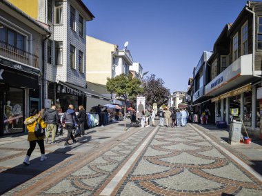 EDIRNE, TURKEY - Kasım 02, 2024: Edirne şehir merkezinin panoramik manzarası, Doğu Trakya, Türkiye