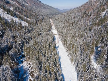 Bulgaristan 'ın Sofya Bölgesi Beli Iskar köyü yakınlarındaki Rila Dağı' nın kış manzarası
