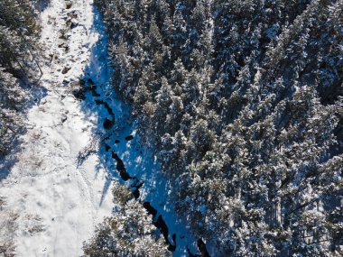 Bulgaristan 'ın Sofya Bölgesi Beli Iskar köyü yakınlarındaki Rila Dağı' nın kış manzarası