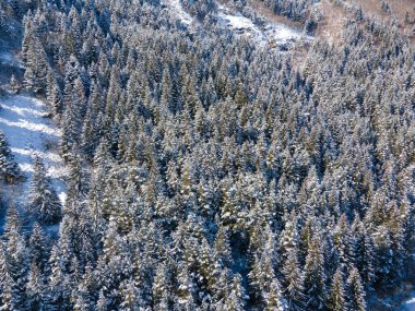 Bulgaristan 'ın Sofya Bölgesi Beli Iskar köyü yakınlarındaki Rila Dağı' nın kış manzarası