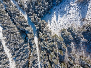 Bulgaristan 'ın Sofya Bölgesi Beli Iskar köyü yakınlarındaki Rila Dağı' nın kış manzarası