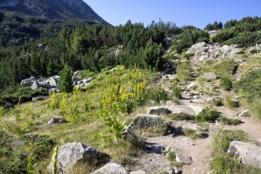 Bulgaristan 'ın Banderitsa Bölgesi yakınlarındaki Pirin Dağı' nın Şaşırtıcı Manzarası