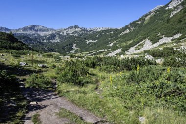 Bulgaristan 'ın Banderitsa Bölgesi yakınlarındaki Pirin Dağı' nın Şaşırtıcı Manzarası