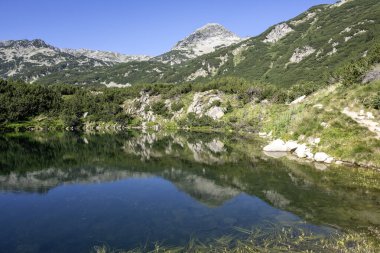 Bulgaristan 'ın Banderitsa Bölgesi yakınlarındaki Pirin Dağı' nın Şaşırtıcı Manzarası
