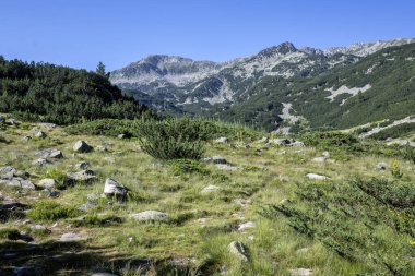 Bulgaristan 'ın Banderitsa Bölgesi yakınlarındaki Pirin Dağı' nın Şaşırtıcı Manzarası