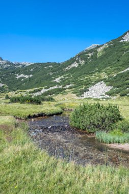Bulgaristan 'ın Banderitsa Bölgesi yakınlarındaki Pirin Dağı' nın Şaşırtıcı Manzarası