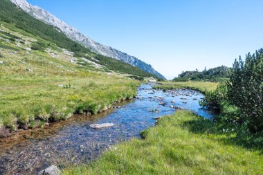 Bulgaristan 'ın Banderitsa Bölgesi yakınlarındaki Pirin Dağı' nın Şaşırtıcı Manzarası