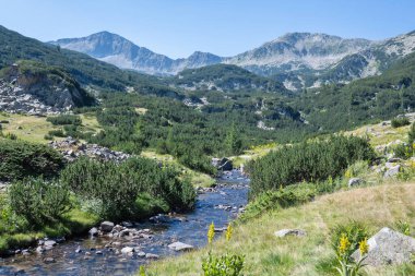 Bulgaristan 'ın Banderitsa Bölgesi yakınlarındaki Pirin Dağı' nın Şaşırtıcı Manzarası