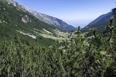 Bulgaristan 'ın Banderitsa Bölgesi yakınlarındaki Pirin Dağı' nın Şaşırtıcı Manzarası
