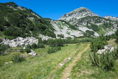 Bulgaristan 'ın Banderitsa Bölgesi yakınlarındaki Pirin Dağı' nın Şaşırtıcı Manzarası