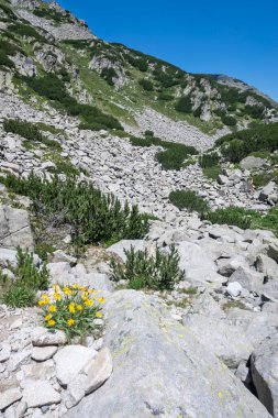 Bulgaristan 'ın Banderitsa Bölgesi yakınlarındaki Pirin Dağı' nın Şaşırtıcı Manzarası