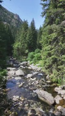 Beli Iskar Nehri yakınlarındaki Rila Dağı, Sofya Bölgesi, Bulgaristan