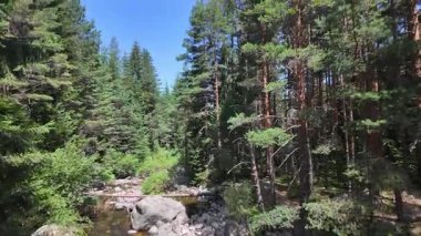 Beli Iskar Nehri yakınlarındaki Rila Dağı, Sofya Bölgesi, Bulgaristan