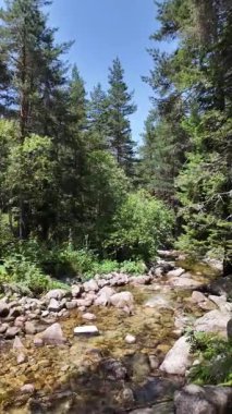 Beli Iskar Nehri yakınlarındaki Rila Dağı, Sofya Bölgesi, Bulgaristan