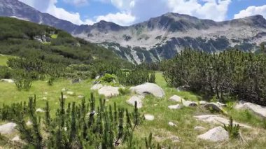 Bulgaristan 'ın Banderitsa bölgesindeki Pirin Dağı' nın şaşırtıcı yaz manzarası