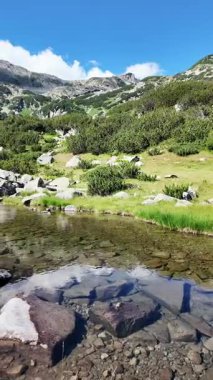 Bulgaristan 'ın Banderitsa bölgesindeki Pirin Dağı' nın şaşırtıcı yaz manzarası
