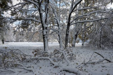 Bulgaristan 'ın Sofya kentindeki South Park' ın şaşırtıcı kış manzarası