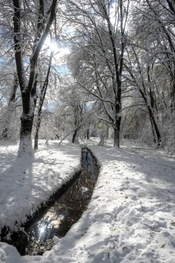 Bulgaristan 'ın Sofya kentindeki South Park' ın şaşırtıcı kış manzarası