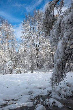 Bulgaristan 'ın Sofya kentindeki South Park' ın şaşırtıcı kış manzarası