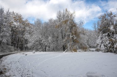 Bulgaristan 'ın Sofya kentindeki South Park' ın şaşırtıcı kış manzarası