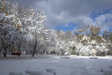 Bulgaristan 'ın Sofya kentindeki South Park' ın şaşırtıcı kış manzarası