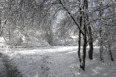 Bulgaristan 'ın Sofya kentindeki South Park' ın şaşırtıcı kış manzarası