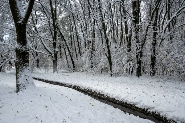 Bulgaristan 'ın Sofya kentindeki South Park' ın şaşırtıcı kış manzarası