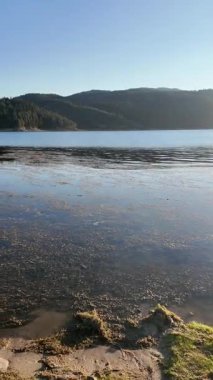 Dospat Reservoir, Smolyan Bölgesi, Bulgaristan