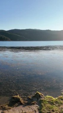 Dospat Reservoir, Smolyan Bölgesi, Bulgaristan