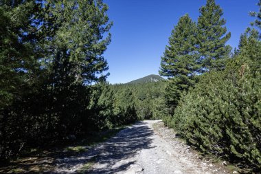 Bulgaristan 'ın Granchar Gölü yakınlarındaki Rila Dağı' nın İnanılmaz Yaz Manzarası