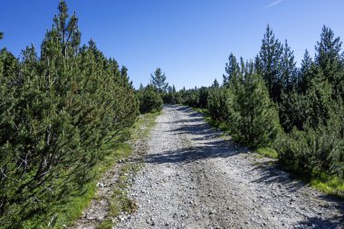 Bulgaristan 'ın Granchar Gölü yakınlarındaki Rila Dağı' nın İnanılmaz Yaz Manzarası