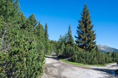 Bulgaristan 'ın Granchar Gölü yakınlarındaki Rila Dağı' nın İnanılmaz Yaz Manzarası