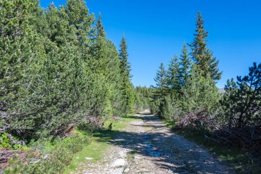 Bulgaristan 'ın Granchar Gölü yakınlarındaki Rila Dağı' nın İnanılmaz Yaz Manzarası