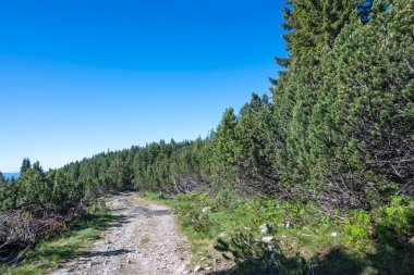 Bulgaristan 'ın Granchar Gölü yakınlarındaki Rila Dağı' nın İnanılmaz Yaz Manzarası