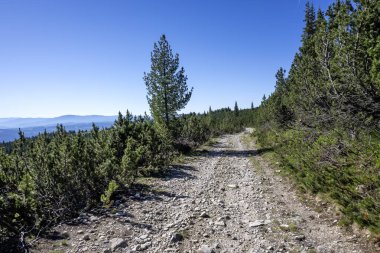 Bulgaristan 'ın Granchar Gölü yakınlarındaki Rila Dağı' nın İnanılmaz Yaz Manzarası