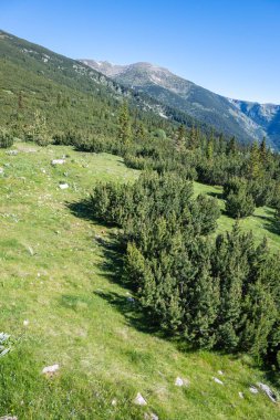 Bulgaristan 'ın Granchar Gölü yakınlarındaki Rila Dağı' nın İnanılmaz Yaz Manzarası
