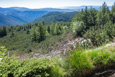 Bulgaristan 'ın Granchar Gölü yakınlarındaki Rila Dağı' nın İnanılmaz Yaz Manzarası