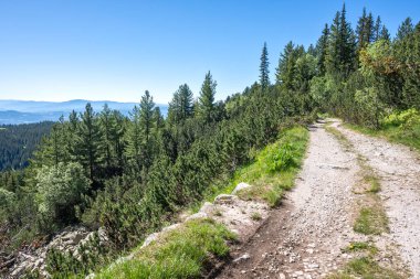 Bulgaristan 'ın Granchar Gölü yakınlarındaki Rila Dağı' nın İnanılmaz Yaz Manzarası