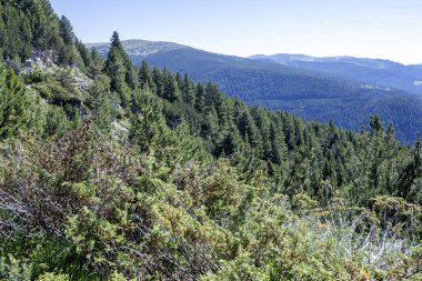 Bulgaristan 'ın Granchar Gölü yakınlarındaki Rila Dağı' nın İnanılmaz Yaz Manzarası