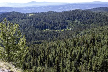 Bulgaristan 'ın Granchar Gölü yakınlarındaki Rila Dağı' nın İnanılmaz Yaz Manzarası