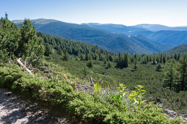 Bulgaristan 'ın Granchar Gölü yakınlarındaki Rila Dağı' nın İnanılmaz Yaz Manzarası