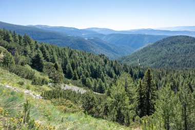 Bulgaristan 'ın Granchar Gölü yakınlarındaki Rila Dağı' nın İnanılmaz Yaz Manzarası