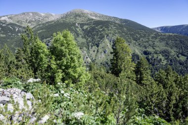 Bulgaristan 'ın Granchar Gölü yakınlarındaki Rila Dağı' nın İnanılmaz Yaz Manzarası