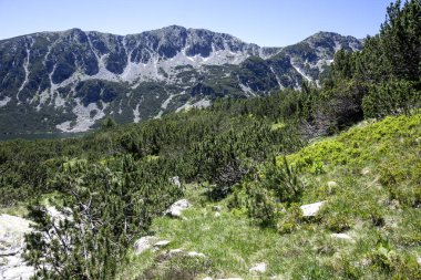 Bulgaristan 'ın Granchar Gölü yakınlarındaki Rila Dağı' nın İnanılmaz Yaz Manzarası