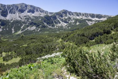 Bulgaristan 'ın Granchar Gölü yakınlarındaki Rila Dağı' nın İnanılmaz Yaz Manzarası